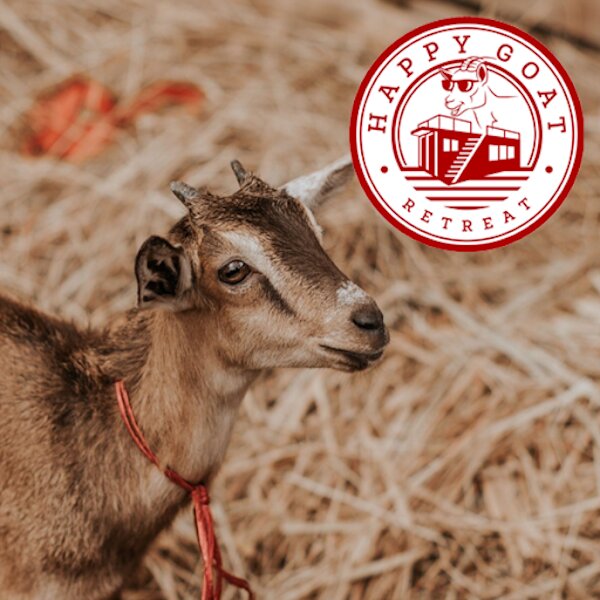 Happy Goat Ranch HAPPY GOAT RETREAT in Lake Conroe , Texas - Spend Your Summer at Happy ...